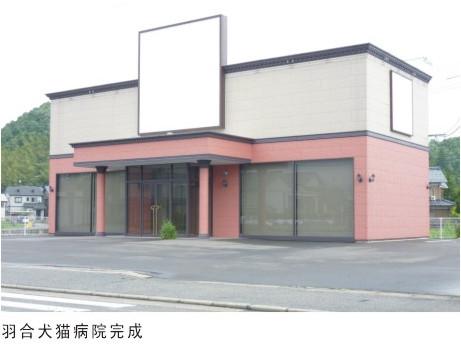 日本羽合貓科病院