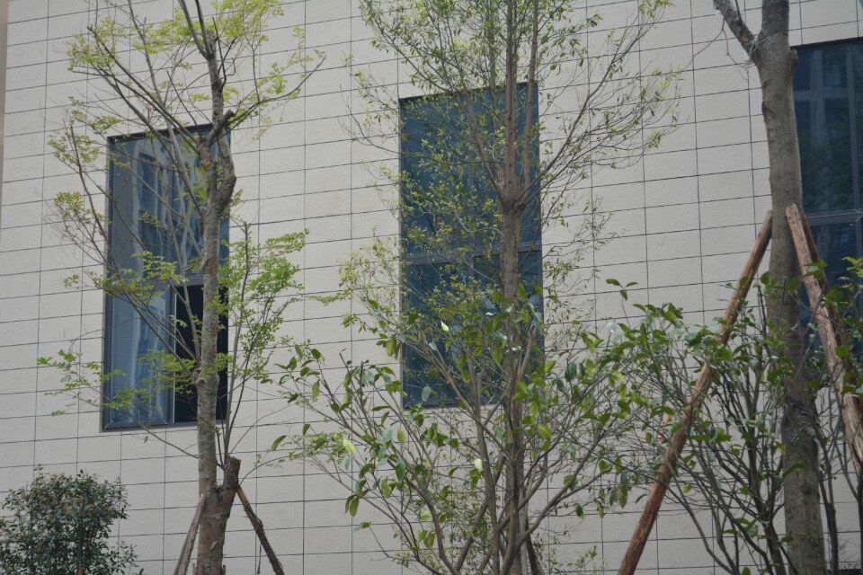 宜賓馳城·觀瀾上郡